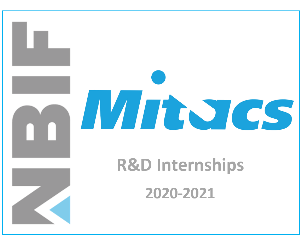 NBIF x Mitcas R&D internship graphic